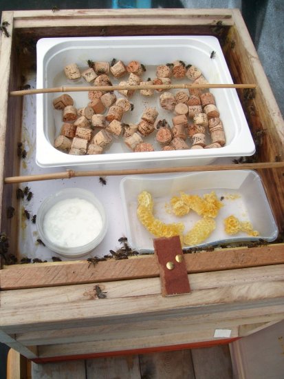 Größerer Behälter