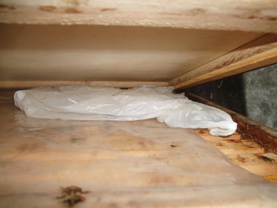 Futterteig aufgelegt