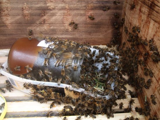 K1: Nicht leer nach einem Tag