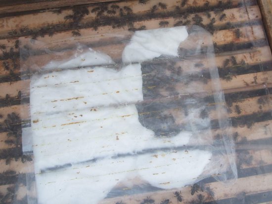 Schlecht zu erreichen.