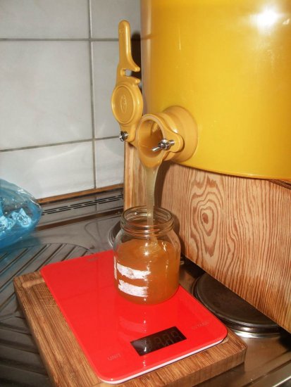 Honig abfüllen
