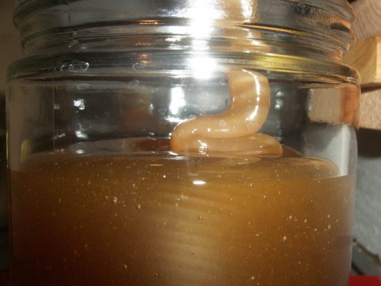 Gebinde 1 (HBHr1 37)