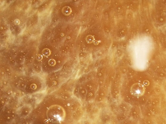 Gebinde 1 (HBHr1 37)