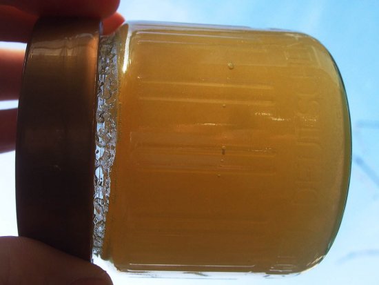 2016er Honig: Januar 2017