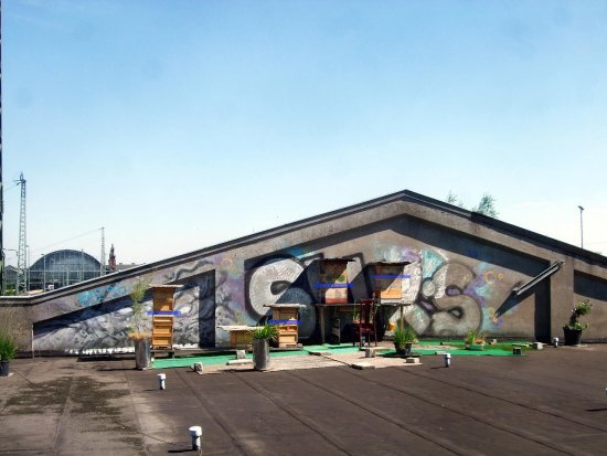 Bienenfluchten eingelegt