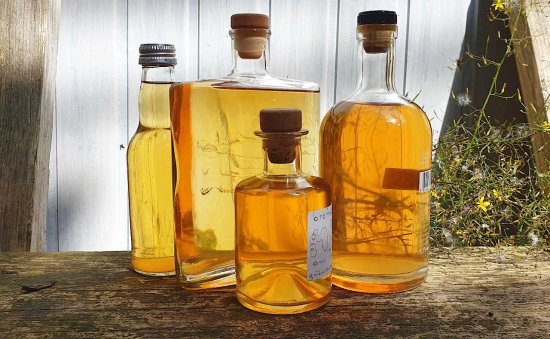 Met, aus 2020er Honig, aus Demian, 20201129 angesetzt, Burgunder-Hefe