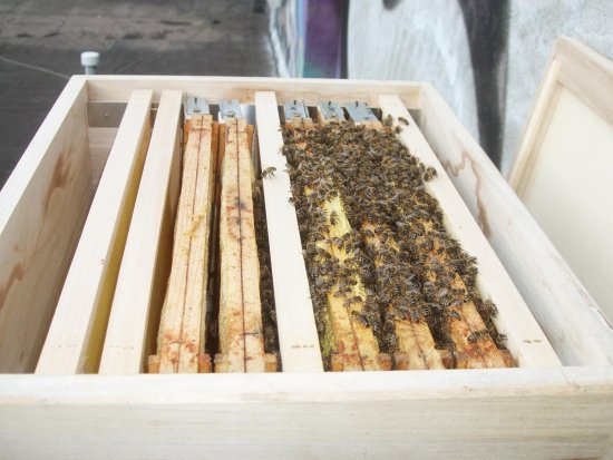 So wurde die Zarge verlassen.