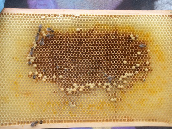 Rähmchen 5a (err4b)