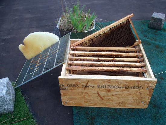 ausgesonderte alte Waben