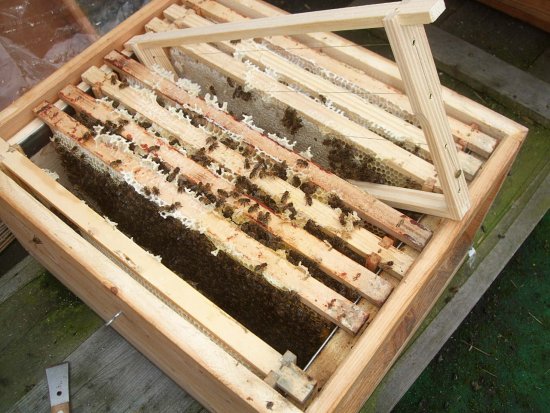 Position von Mittelwand und Baurahmen