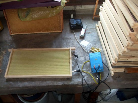 Wabenerneuerung mit ganz neue Rähmchen