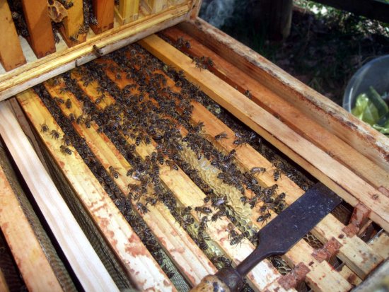 Baurahmen grad angefangen