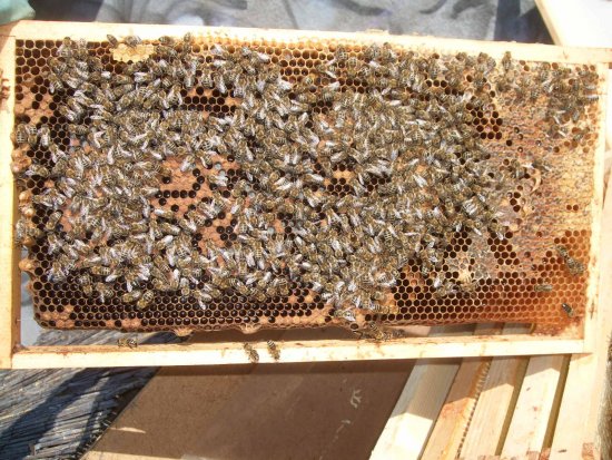 kleine Glocke rechts unten