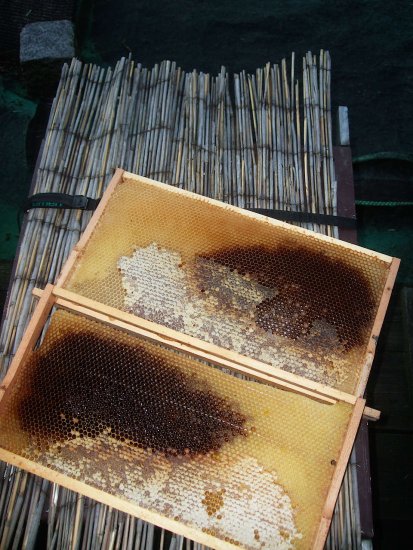 K7, zwei alte Waben raus und Hr drauf