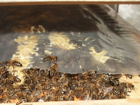 Mit gezückten Waffen