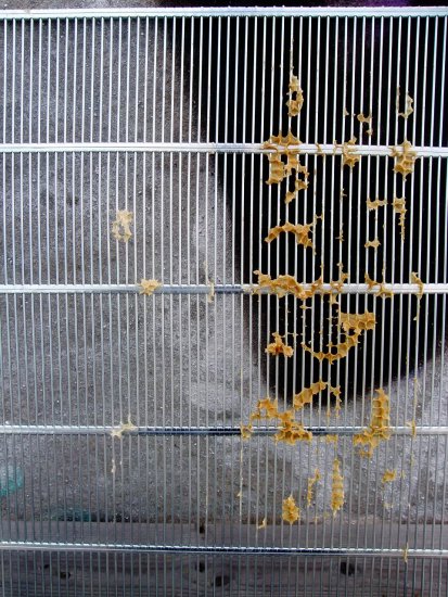 Absperrgitter rausgenommen