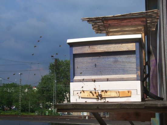 Kasten 2. Spannendes Wetter