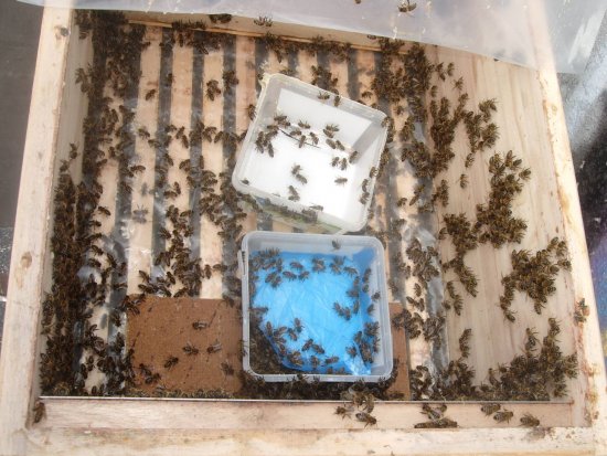 Kasten 1, Futterraum