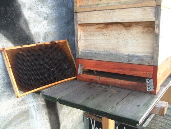 Rähmchen 1a (Posit. 2)