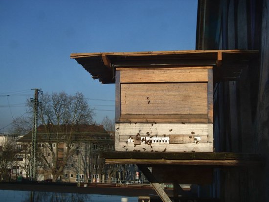 Einer der ersten milderen Tage