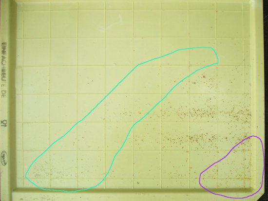 Kasten 2 - Momentaufnahme