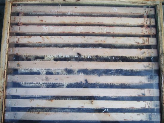 Kasten 2 wird schwerer