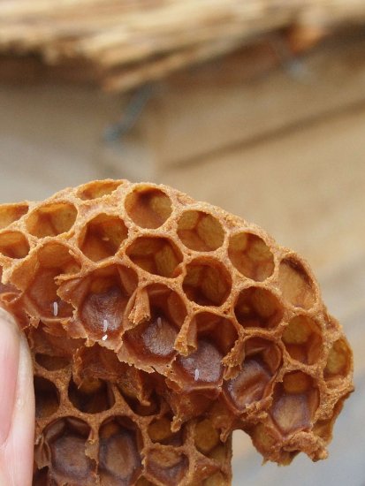 Sorry - hier sind Stifte drin