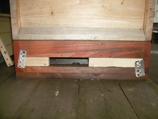 Neue Einfluglochvariante, K1