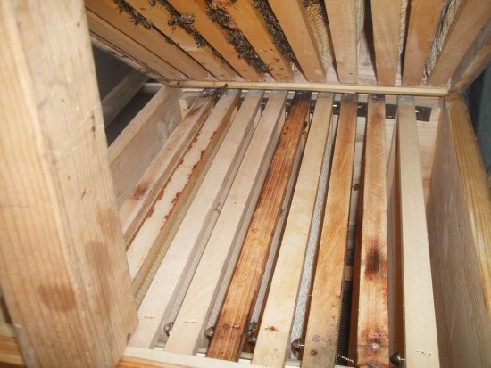 Neue Ganzzarge untergesetzt (K2B2)