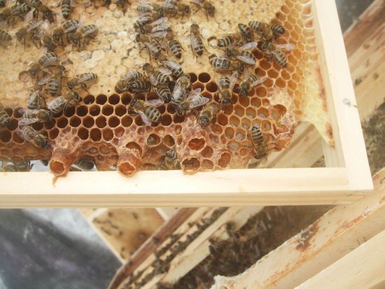 K1 hat sich doch noch "umgeweiselt"