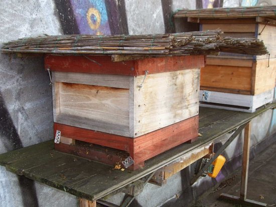 K1 - jetzt auf eine Zarge reduziert