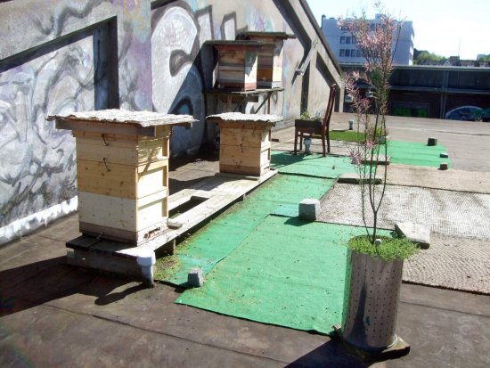 K5 nach unten erweitert