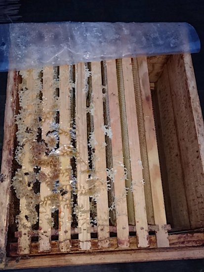 K5 schon benetzt mit 30 ml OS