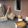 Bienenprojekt