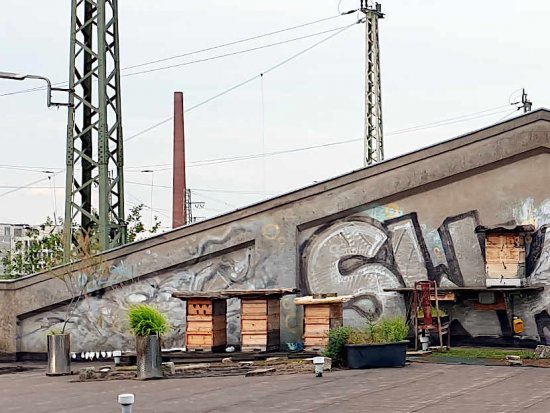 _20220610201742_samG09_DE
Das Bild ist unveröffentlicht.