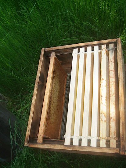 Kiste und Standort unter Apfelbaum fuer K4-Schwarm > K9. aber nicht angenommen.