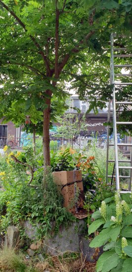 K5, Schwarm, schwaermt