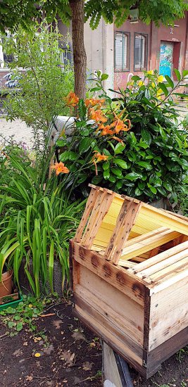 K5, Schwarm, schwaermt - jetzt K8, neuen Kasten vorbereitet