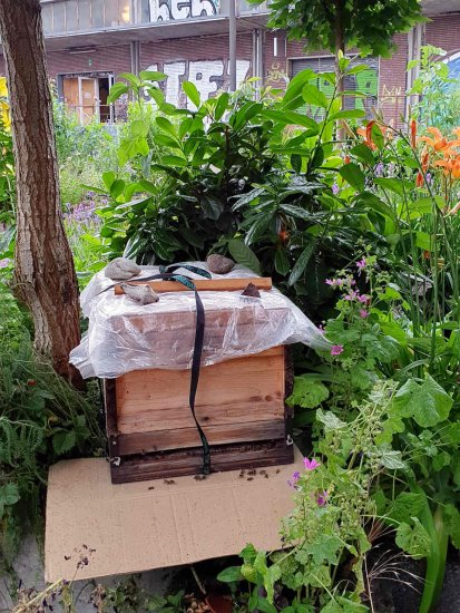 K5, Schwarm, schwaermt - jetzt K8, neuen Kasten vorbereitet