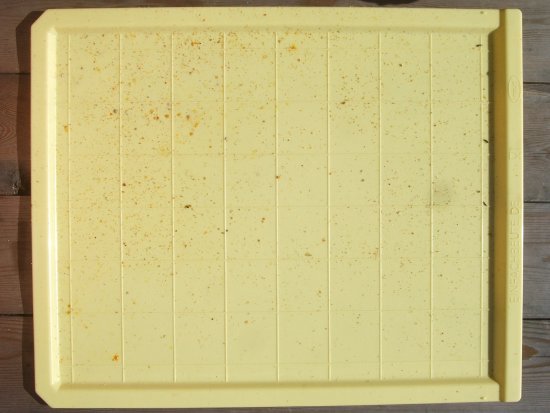 Varroaboden nach 48 Std.