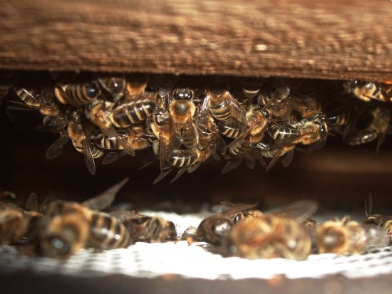 M.E. kein unüblicher Totenfall