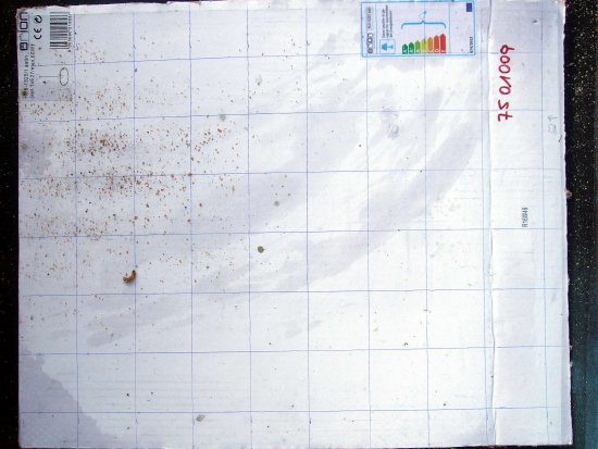 K4. 9 Vm gefallen, 5d nach OS