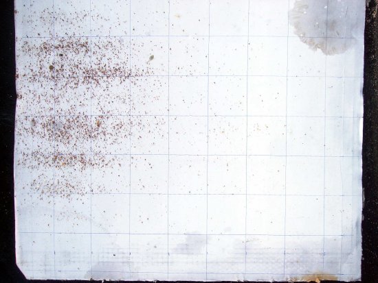 K5: 45 Vm gefallen nach 5d.