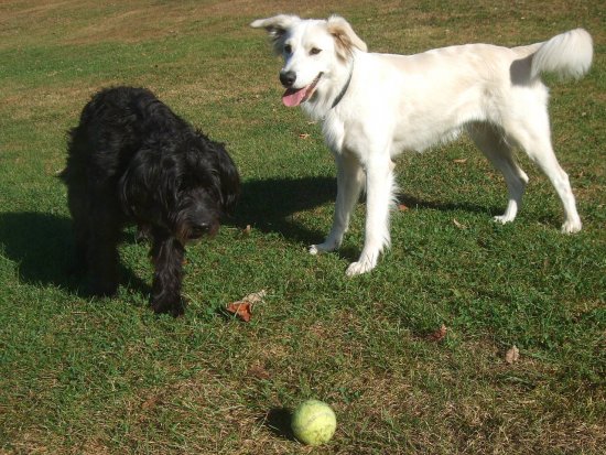 Lea und Lucy, 2 und 9 Jahre
