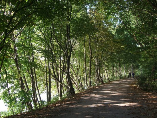 Uferweg an der Weser.
