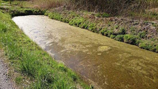 Waller Strassengraben