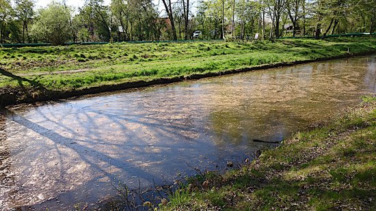 Gülle zieht gen Umweltsenator