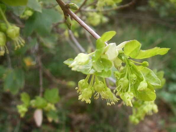 _20220403124125_f50fd_GR