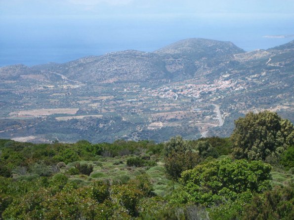 Blick auf Elika von Phrygana